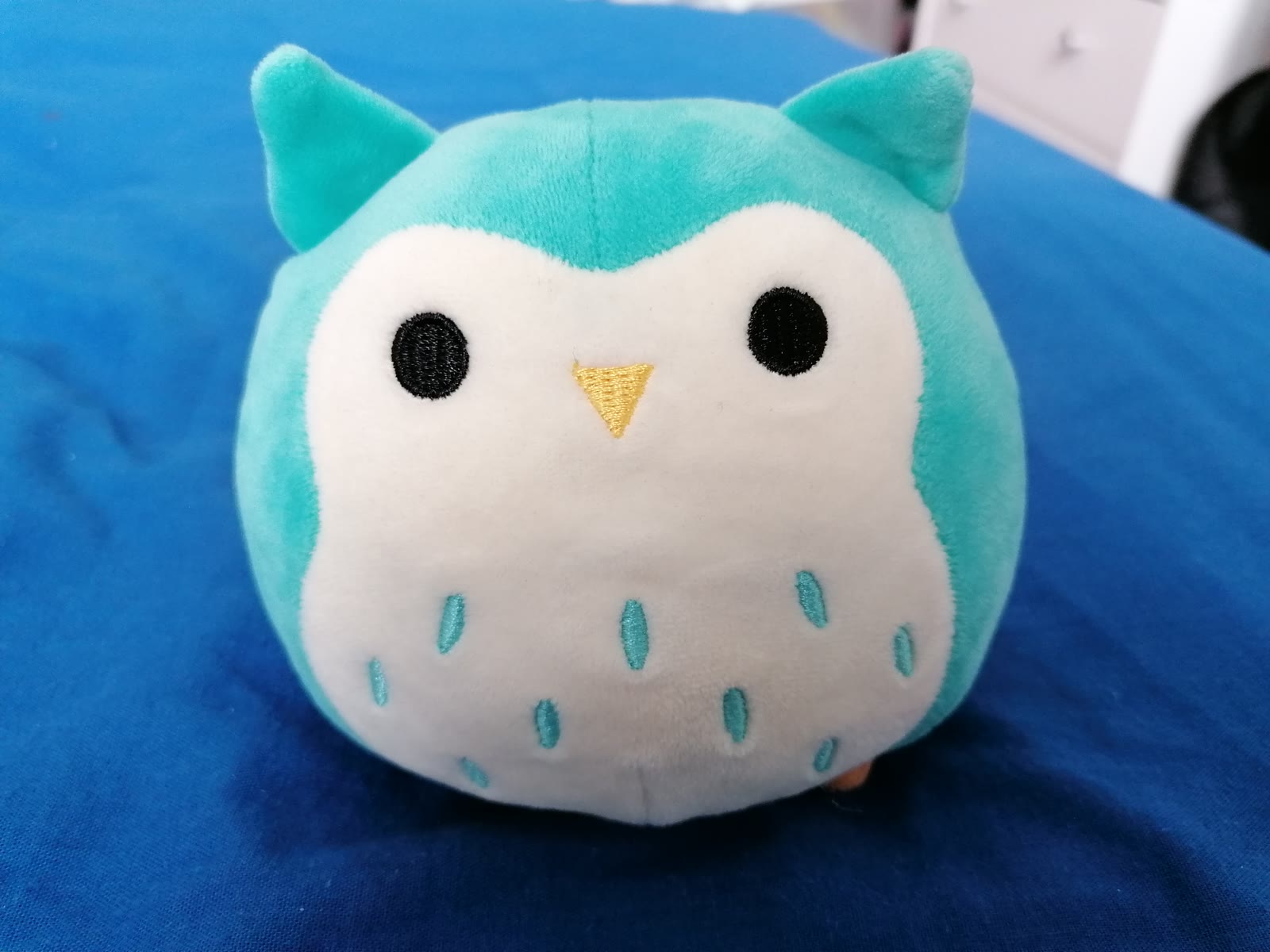 Baby Owl